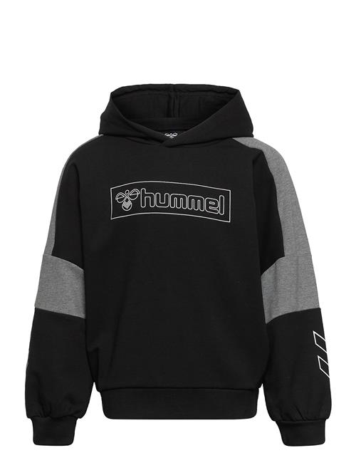 Se Hummel Hmlboxline Hoodie Hummel Black ved Booztlet