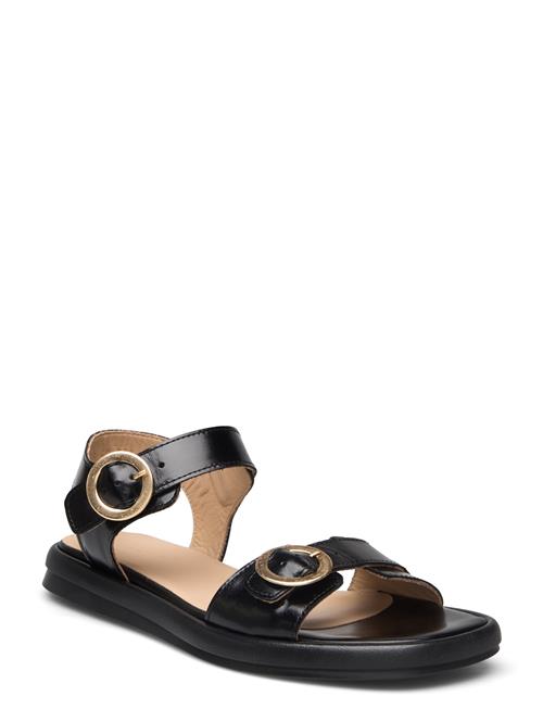 ANGULUS Sandals - Flat ANGULUS Black