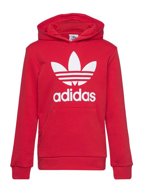 adidas Originals Trefoil Hoodie Adidas Originals Red