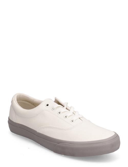 Polo Ralph Lauren Keaton Twill Sneaker Polo Ralph Lauren White