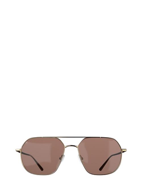 Corlin Eyewear Chase Gold Brown Corlin Eyewear Brown