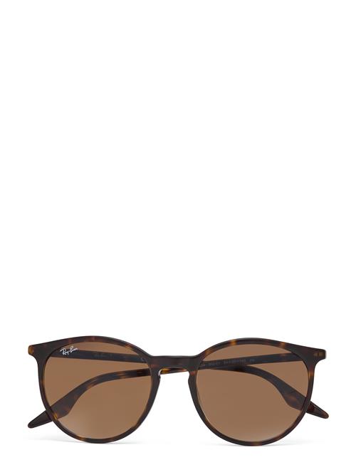 Se Ray-Ban 0Rb2204 54 902/51 Ray-Ban Brown ved Booztlet