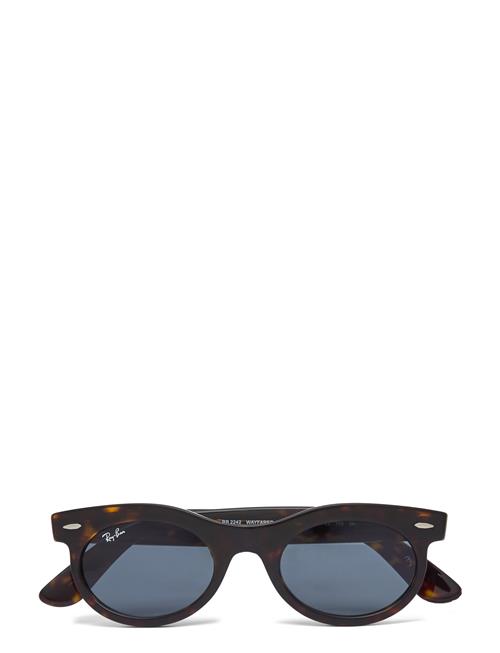 Se Ray-Ban Wayfarer Oval Ray-Ban Black ved Booztlet