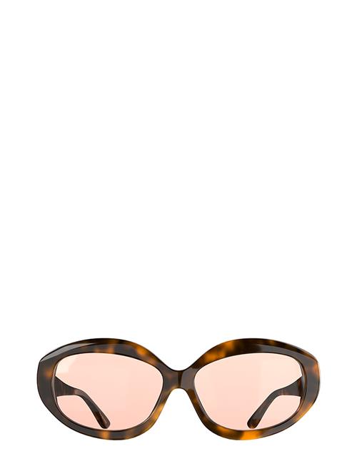 Corlin Eyewear Kate Tortoise Cinnamon Corlin Eyewear Brown