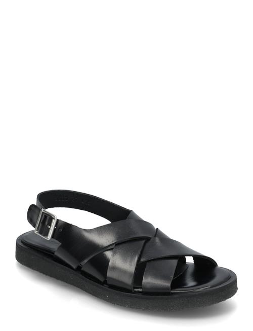 Sandals - Flat - Open Toe - Op ANGULUS Black