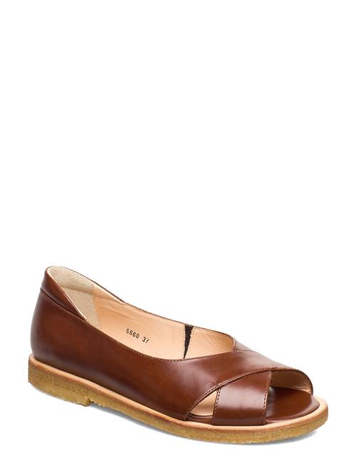 ANGULUS Sandals - Flat - Open Toe - Clo ANGULUS Brown