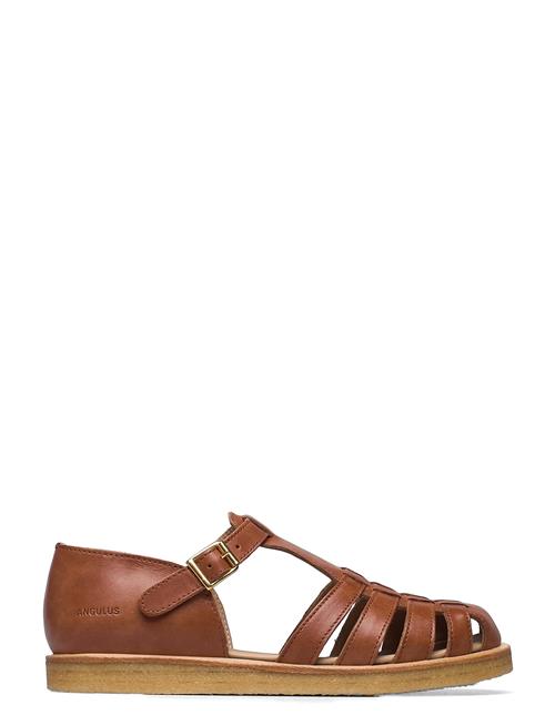 Sandals - Flat - Closed Toe - Op ANGULUS Brown