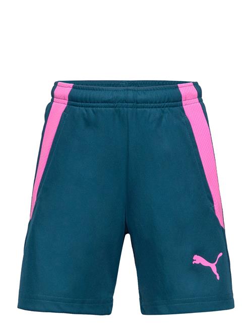 PUMA Teamliga Training Shorts 2 Jr PUMA Blue