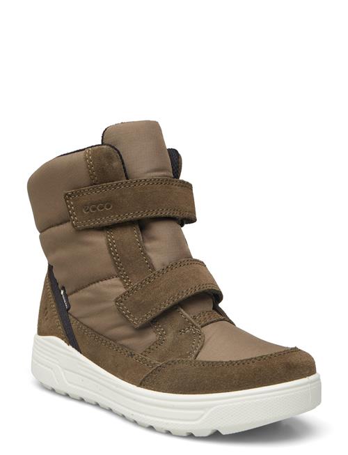 ECCO Urban Snowboarder ECCO Khaki