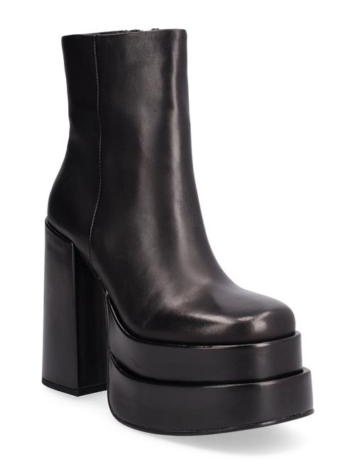 Se Steve Madden Cobra Bootie Steve Madden Black ved Booztlet