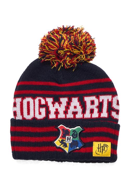 Harry Potter Bonnet/Peruvien/Cagoule Harry Potter Black