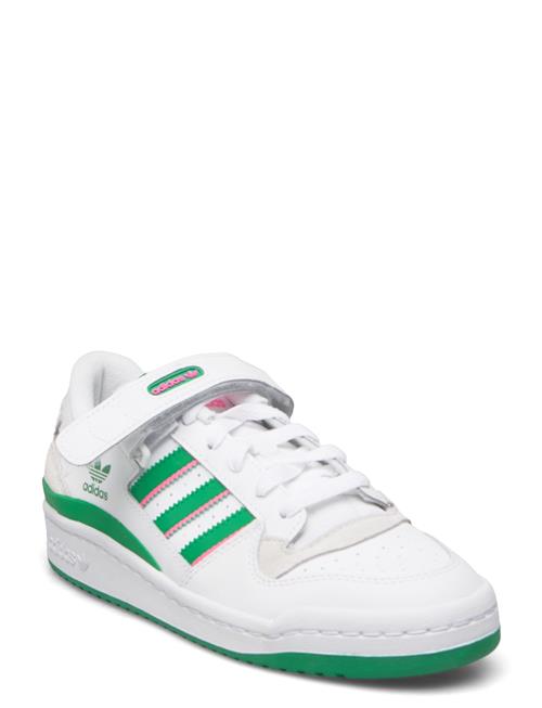 Se adidas Originals Forum Low W Adidas Originals Green ved Booztlet