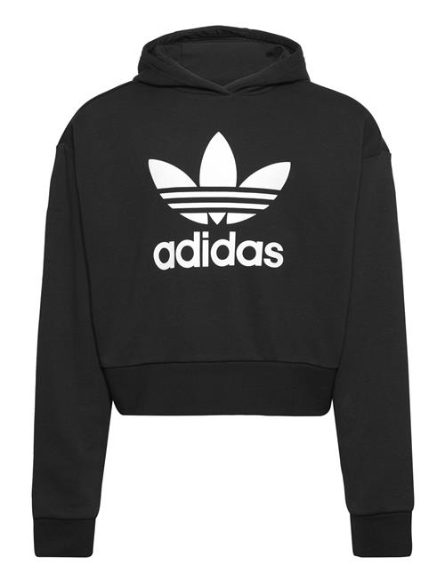 Se adidas Originals Cropped Hoodie Adidas Originals Black ved Booztlet