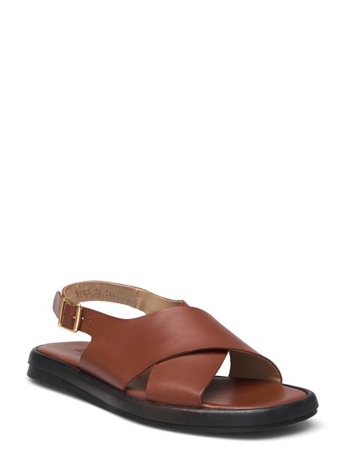 ANGULUS Sandals - Flat ANGULUS Brown