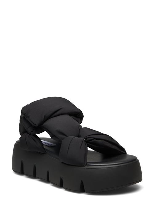 Se Bonkers Sandal Steve Madden Black ved Booztlet