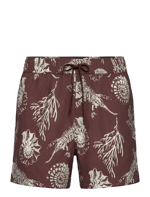 Moses Swim Shorts Aop 14702 Samsøe Samsøe Brown