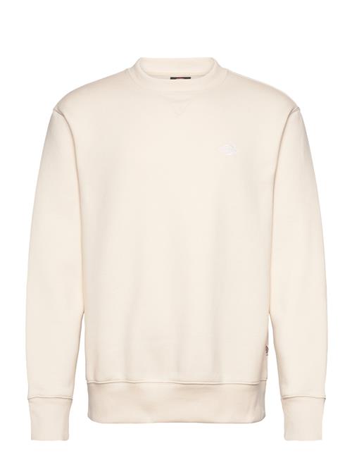 Dickies Summerdale Sweatshirt Dickies Cream