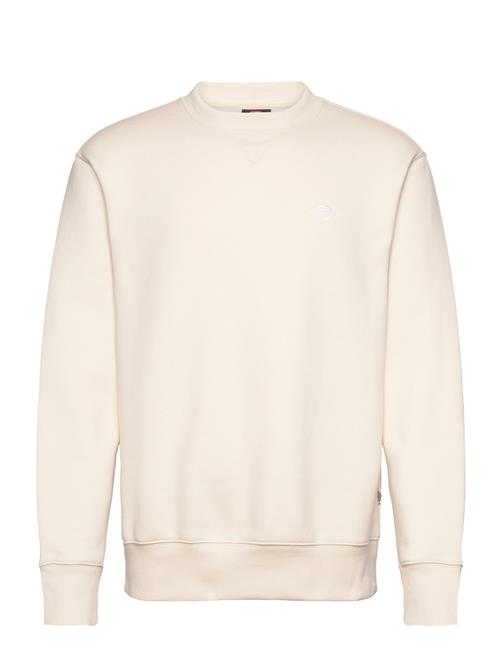 M Summerdale Sweatshirt Dickies Cream