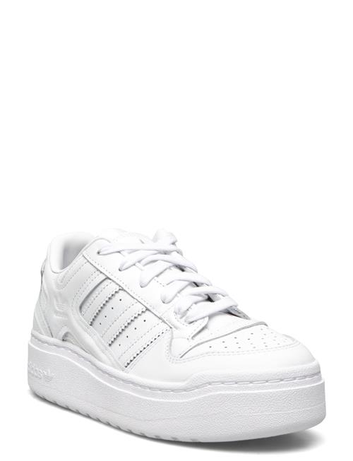 Se adidas Originals Forum Xlg W Adidas Originals White ved Booztlet