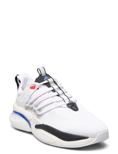 Se adidas Sportswear Alphaboost V1 Adidas Sportswear White ved Booztlet