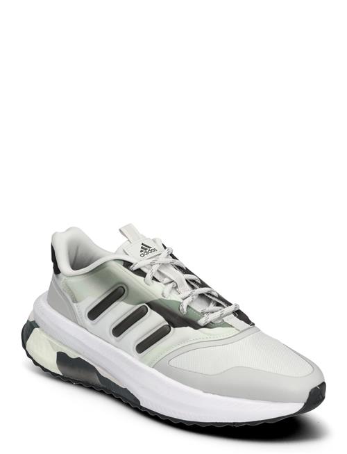 Se adidas Sportswear X_Plrphase Adidas Sportswear Grey ved Booztlet