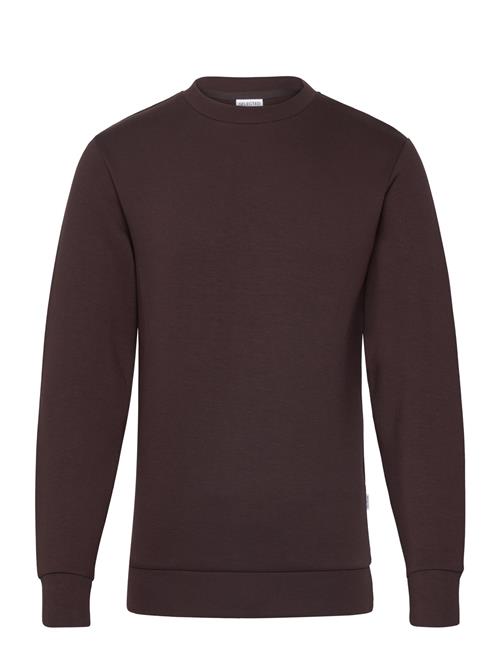 Slhemanuel Soft Crew Neck Sweat Noos Selected Brown