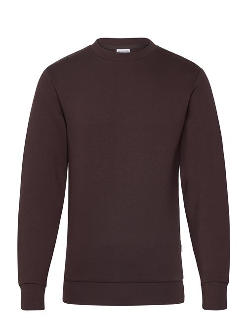 Slhemanuel Soft Crew Neck Sweat Noos Selected Homme Brown