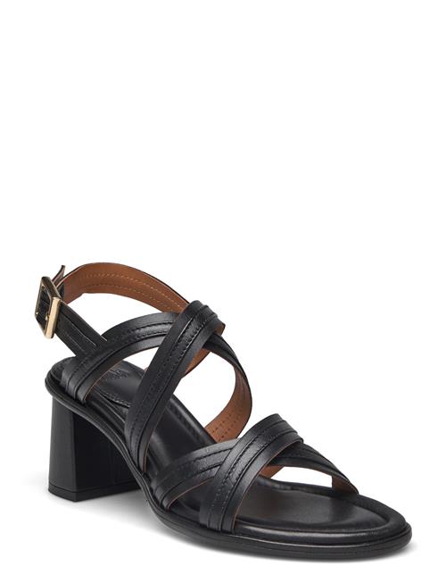 Billi Bi Sandals Billi Bi Black