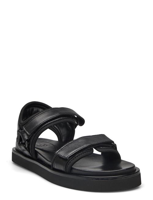 Billi Bi Sandals Billi Bi Black