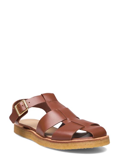 ANGULUS Sandals - Flat - Closed Toe - Op ANGULUS Brown