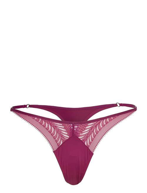 Se Calvin Klein Thong Calvin Klein Purple ved Booztlet