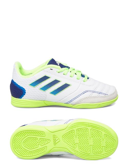 Se adidas Performance Top Sala Competiton Football Boots Indoor Adidas Performance White ved Booztlet