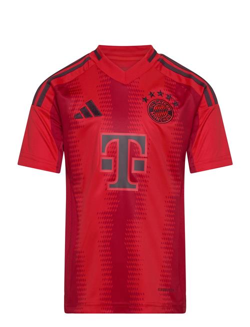 adidas Performance Bayern Munich H Jsy Y Adidas Performance Red