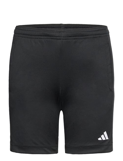 adidas Sportswear J Tr-Es Sh Adidas Sportswear Black