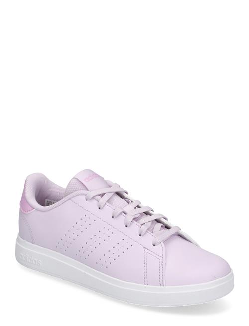 adidas Sportswear Advantage Base 2.0 J Adidas Sportswear Purple