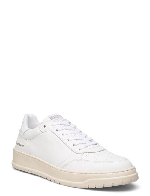 Ace Sneaker Steve Madden White