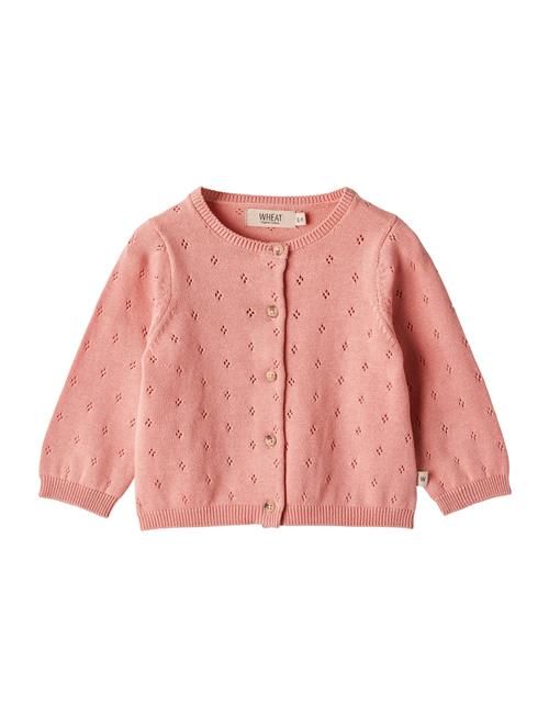 Se Wheat Knit Cardigan Maia Wheat Pink ved Booztlet