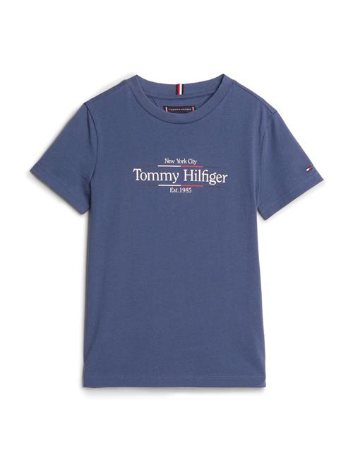 Se Tommy Hilfiger Icon Print Regular Tee Ss Tommy Hilfiger Blue ved Booztlet