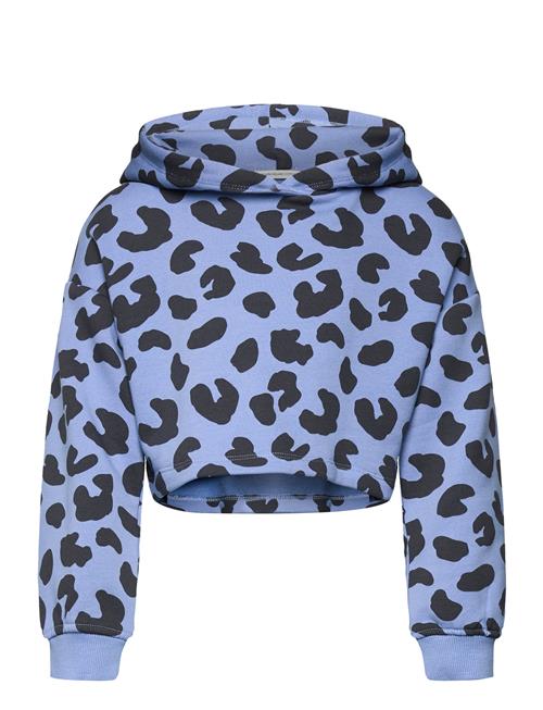 Se Tom Tailor Cropped All Over Printed Hoody Tom Tailor Blue ved Booztlet