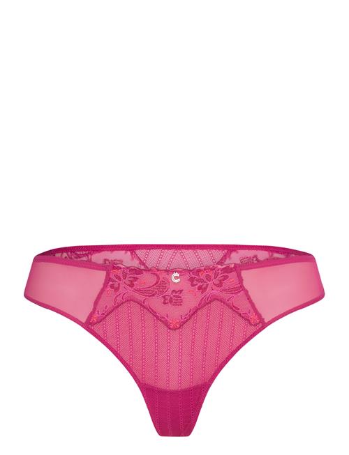 CHANTELLE Cabaret Sauvage Tanga CHANTELLE Pink