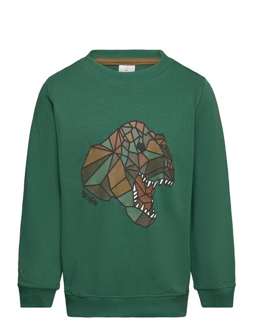 Se The New Tnlazaron Sweatshirt The New Green ved Booztlet