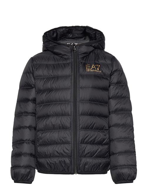 Down Jacket EA7 Black