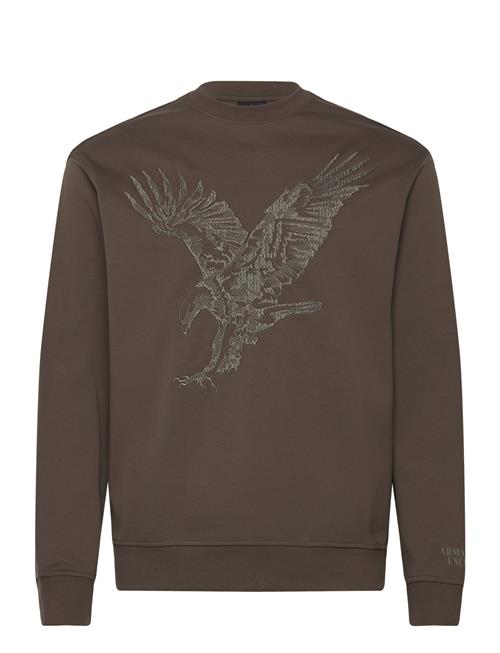 Se Armani Exchange Sweatshirt Armani Exchange Brown ved Booztlet