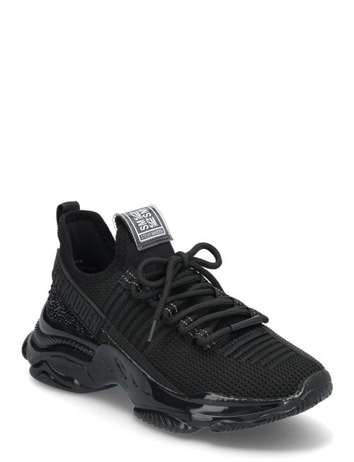 Se Steve Madden Maxilla-R-E Sneaker Steve Madden Black ved Booztlet