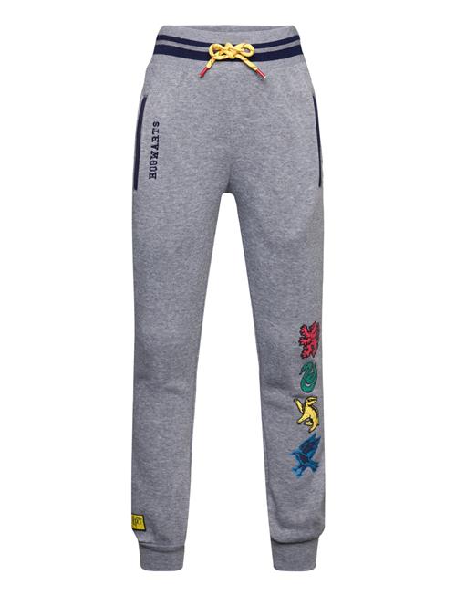 Se Harry Potter Pantalon Harry Potter Grey ved Booztlet