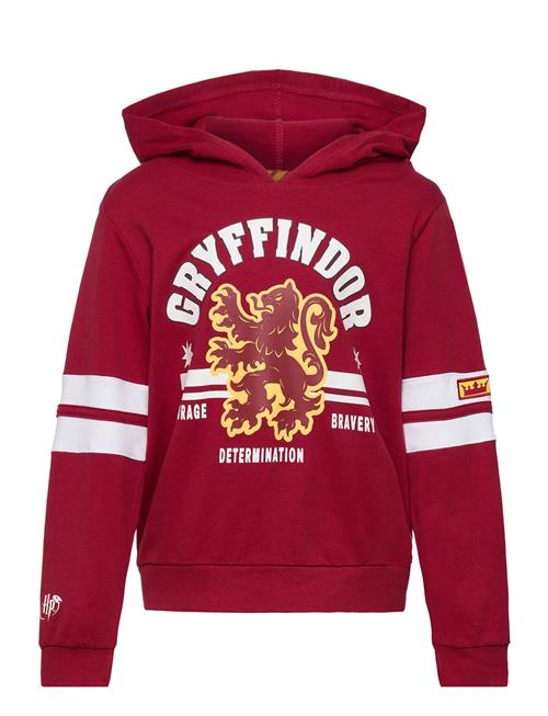 Se Harry Potter Sweats Harry Potter Red ved Booztlet