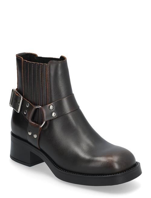 Breaker Chelsea Boots Steve Madden Brown