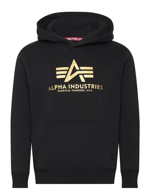 Basic Hoodie Carbon Alpha Industries Black