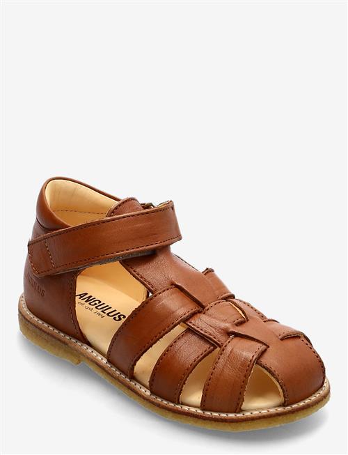 Se ANGULUS Sandals - Flat - Closed Toe - ANGULUS ved Booztlet