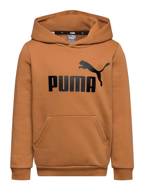 Se PUMA Ess Big Logo Hoodie Fl B PUMA Brown ved Booztlet